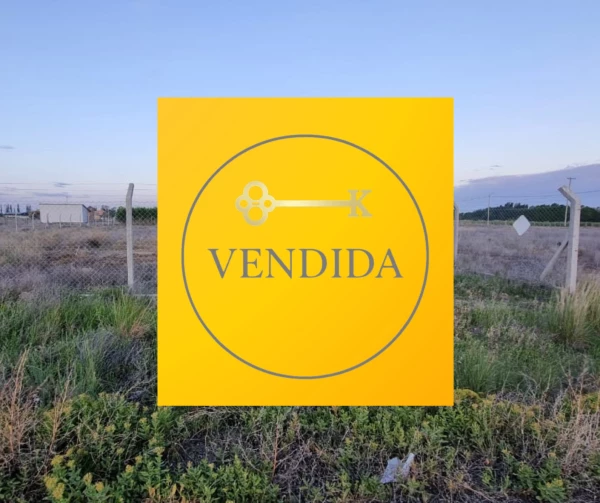 FINCAS DEL TAID. - FINCAS DEL TAID /LUIS RUIZ GUIÑAZU