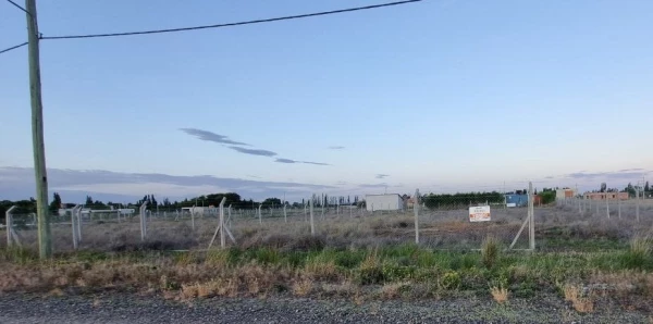 FINCAS DEL TAID. - FINCAS DEL TAID /LUIS RUIZ GUIÑAZU - foto 2