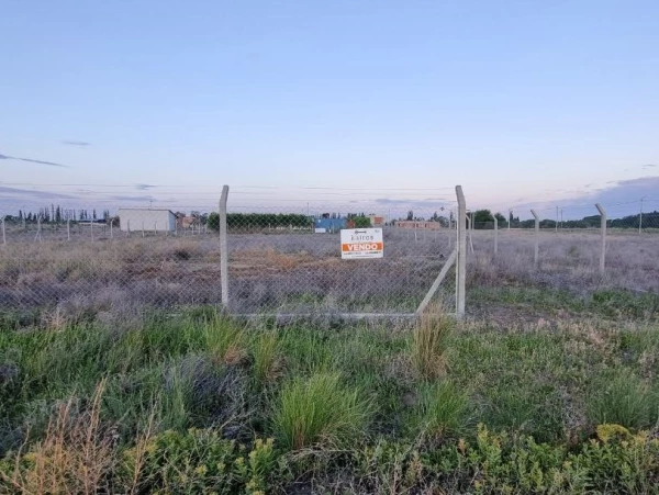FINCAS DEL TAID. - FINCAS DEL TAID /LUIS RUIZ GUIÑAZU - foto 4