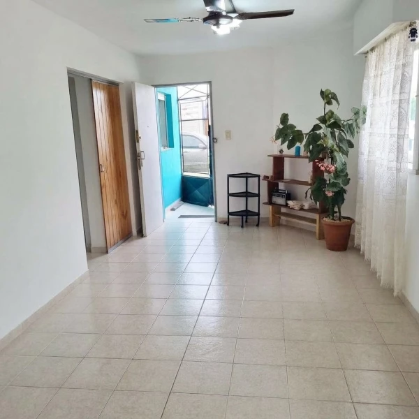 Si son team verde, esta casa te va a encantar! - Leandro Niceforo Alem & Muzio J. - foto 2