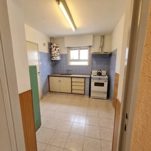 Si son team verde, esta casa te va a encantar! - Leandro Niceforo Alem & Muzio J. - foto 4