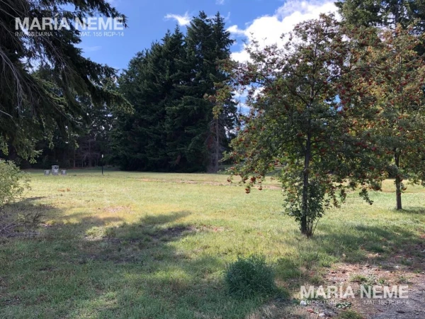 LOTES EN BARRIO CERRADO CON ACCESO AL LAGO NAHUEL HUAPI - Terreno Jardines al Lago - foto 4