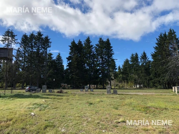 LOTES EN BARRIO CERRADO CON ACCESO AL LAGO NAHUEL HUAPI - Terreno Jardines al Lago - foto 6