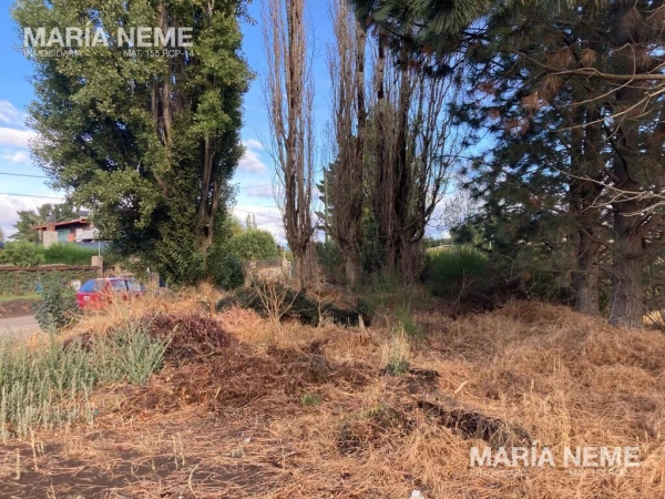 Lote en venta - Dina Huapi - los Prunus  al 400 - foto 6