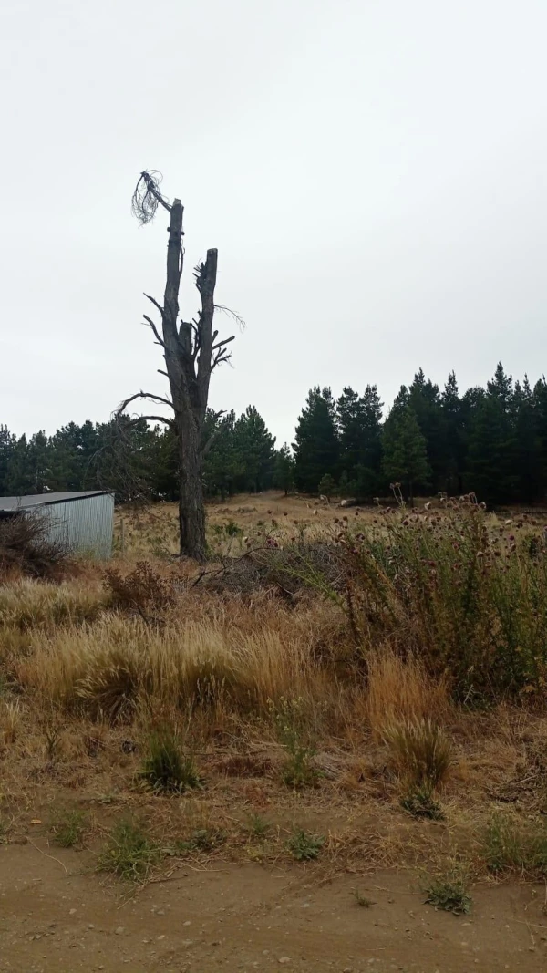 Terreno en  Dina Hue - Lote de 442m2 en Dina Hue - foto 6