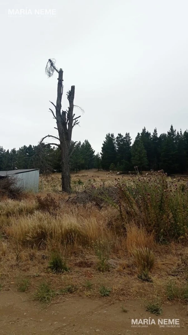 Terreno en  Dina Hue - Lote de 442m2 en Dina Hue