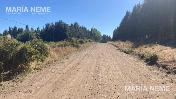 Terreno en PH a la Venta en Dina Huapi - Camino Viejo  al 300 - foto 2