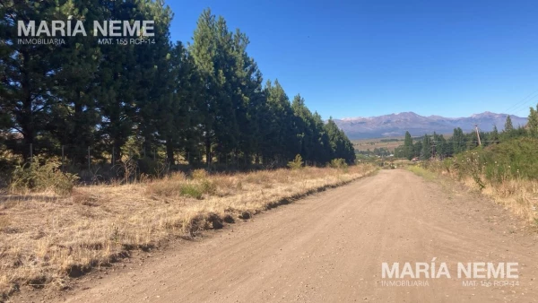 Terreno en PH a la Venta en Dina Huapi - Camino Viejo  al 300 - foto 3