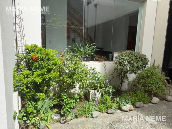 Departamento tipo Penthouse venta Barrio Belgrano - Pent-house en venta Barrio Belgrano - foto 3