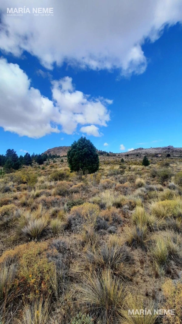 Terreno en Dina Huapi - Barrancas de Dina Huapi - foto 6