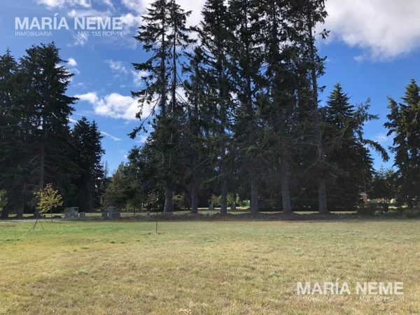 OPORTUNIDAD UNICA - REBAJADO Lotes con vista y costa de Lago zona Este Bariloche - PRIMERA LINEA AL LAGO EN JARDINES AL LAGO. BARRIO CERRADO - foto 5