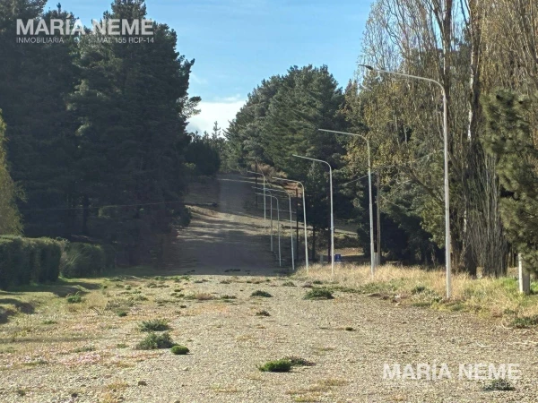 Terreno en Dina Huapi - LOTES 2.500 M2 - Av. Del Vado y Peru  FINANCIAMIENTO 36 CUOTAS - foto 2