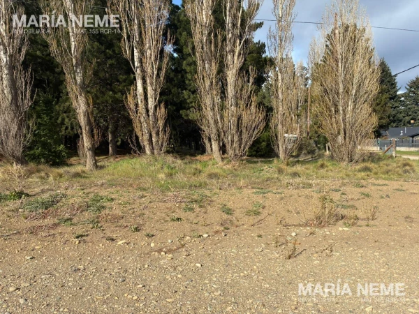 Terreno en Dina Huapi - LOTES 2.500 M2 - Av. Del Vado y Peru  FINANCIAMIENTO 36 CUOTAS - foto 3