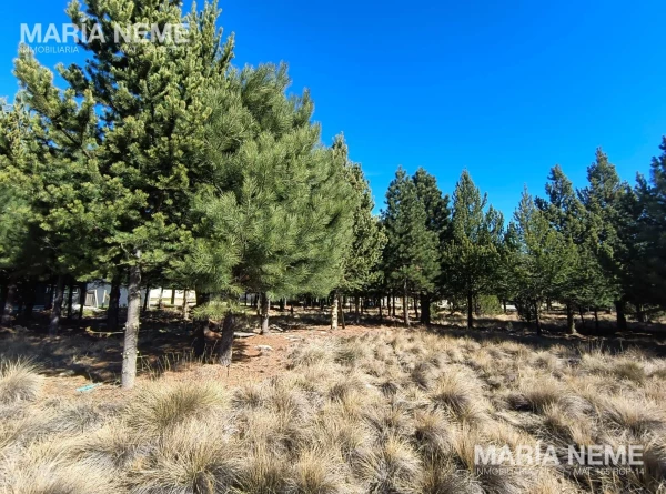 Lote L10 en barrio privado Dos Valles amplia Financiación - Lote L10 en Club de Campo Dos Valles - foto 2