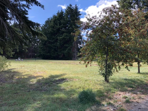 OPORTUNIDAD UNICA - REBAJADO Lotes con vista y costa de Lago zona Este Bariloche - Terreno Jardines al Lago PROMOCIÓN - foto 4