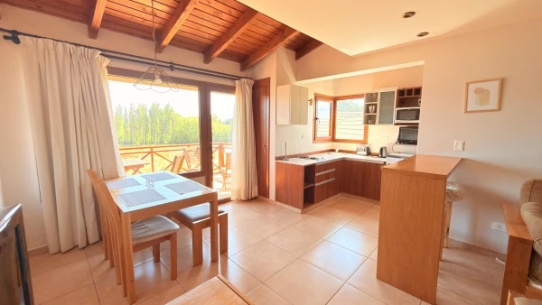 DEPARTAMENTO 2 AMBIENTES EN VENTA EN DINA HUAPI, RÍO NEGRO - Los Notros al 1500 - foto 6