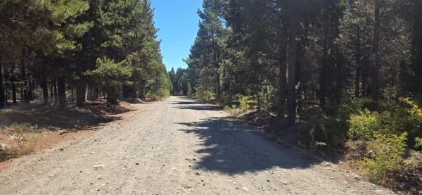 Parcela "unica" en el este de la ciudad de Bariloche - Hectarea a la venta en Barrio Las Chacras