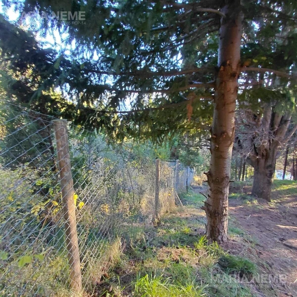 Terreno en Virgen Misionera - Leguizamon S/N 0 - foto 3