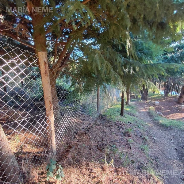 Terreno en Virgen Misionera - Leguizamon S/N 0 - foto 4
