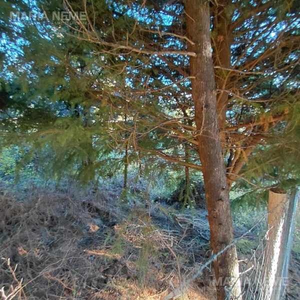Terreno en Virgen Misionera - Leguizamon S/N 0 - foto 5