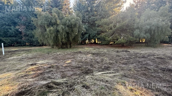 Terreno en venta 5.310 m2 - Av Bustillo al 12900 - foto 6