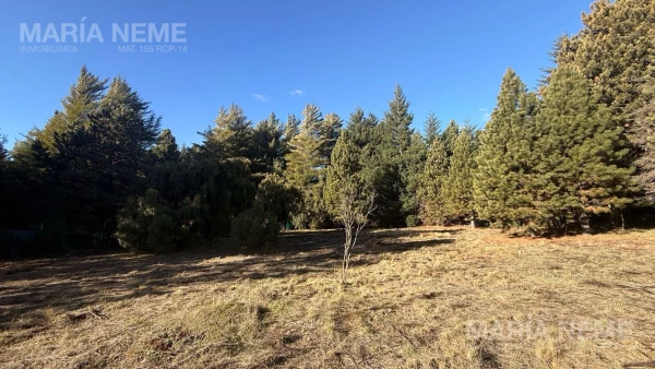 Terreno en venta 5.310 m2 - Av Bustillo al 12900 - foto 5