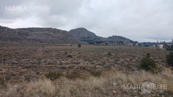 Terreno en Dina Huapi - Barrancas de Dina Huapi - foto 4