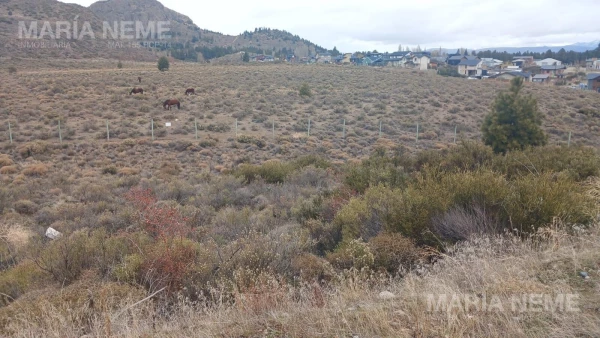 Terreno en Dina Huapi - Barrancas de Dina Huapi - foto 6