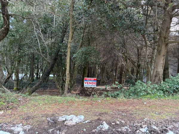 Terreno - Pridiliano Pueyrredon  al 600 - San Ignacio del Cerro Lote 800 m2 - Pridiliano Pueyrredon  al 600 - San Ignacio del Cerro Lote 800 m2 - foto 4