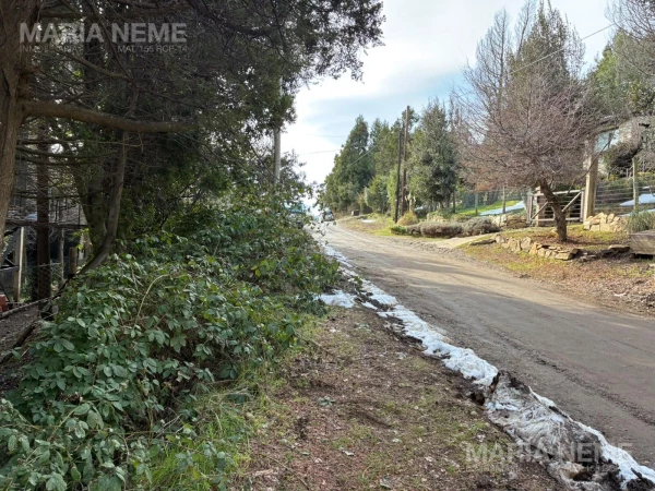 Terreno - Pridiliano Pueyrredon  al 600 - San Ignacio del Cerro Lote 800 m2 - Pridiliano Pueyrredon  al 600 - San Ignacio del Cerro Lote 800 m2 - foto 5