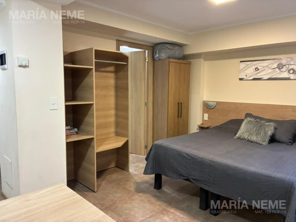 Mitre al 600 - Monoambiente en venta - apto turismo - Mitre al 600 - Monoambiente en venta - apto turismo - foto 6