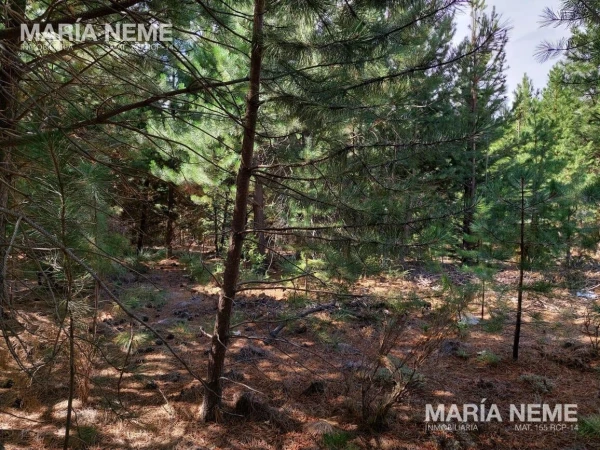 Terreno en  venta en Club de Campo Dos Valles - Club de campo Dos Valles P02, EXCELENTE UBICACION! ZONA RESERVA - foto 5