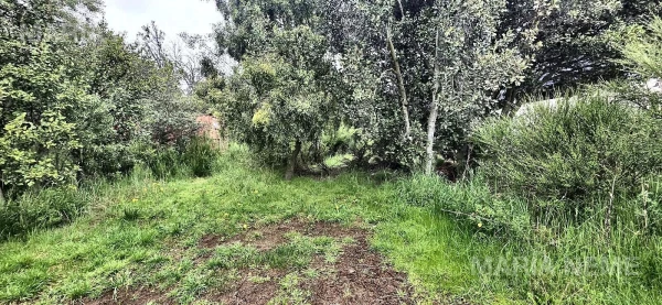 Terreno en excelente area comercial de la ciudad en el km 12 ! - Av Bustilo  al 12500 - foto 3