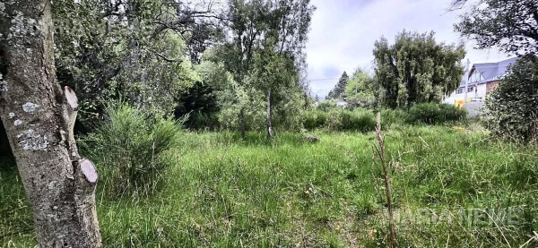 Terreno en excelente area comercial de la ciudad en el km 12 ! - Av Bustilo  al 12500 - foto 6