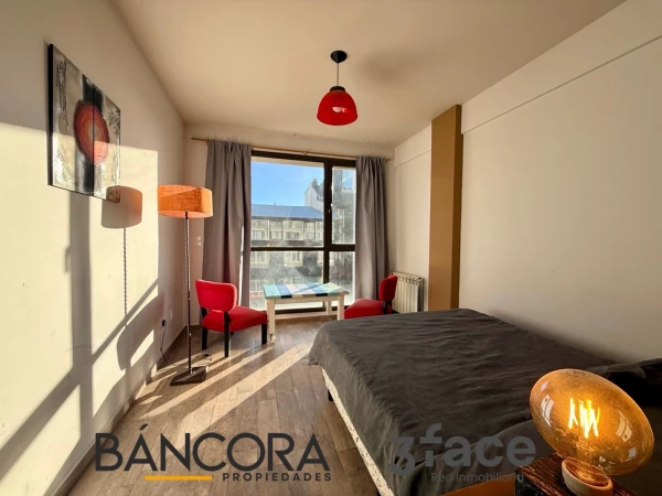 Departamento en Centro - San Martin al 400 - foto 3