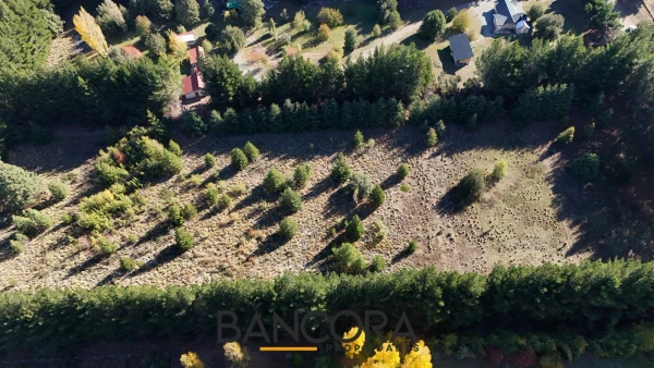 Terreno en Las Victorias - Curapalihue - foto 4