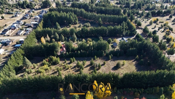 Terreno en Las Victorias - Curapalihue - foto 5