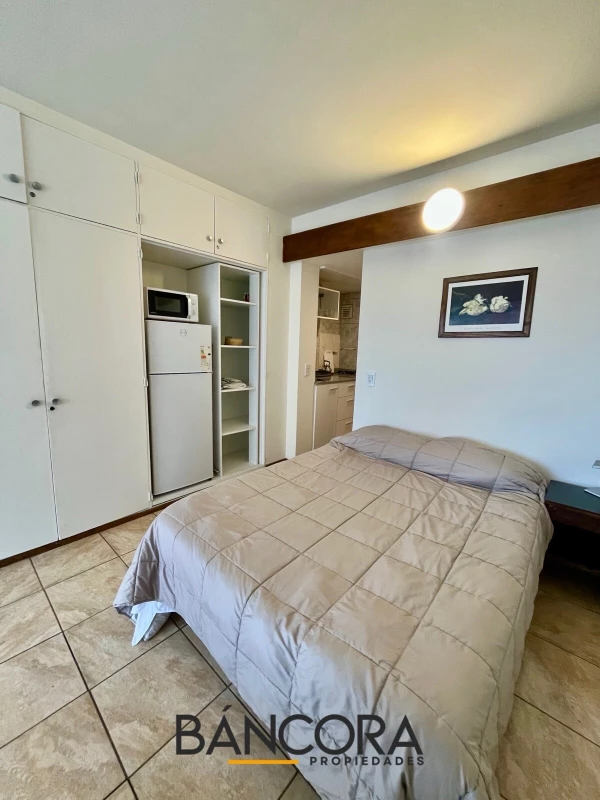 Departamento - Centro - San Martín al 100