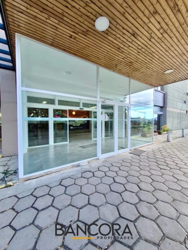 Local - Centro - Local comercial Bariloche Center